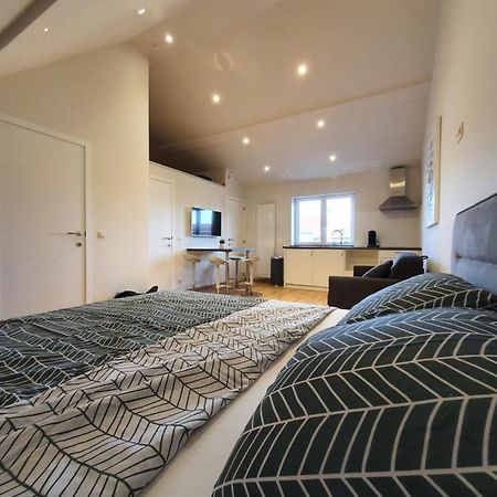 Brussels North - Pajot Apartments Wemmel ภายนอก รูปภาพ
